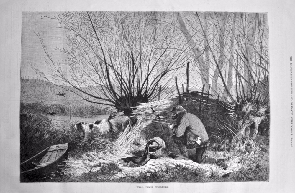 Wild Duck Shooting. 1879.