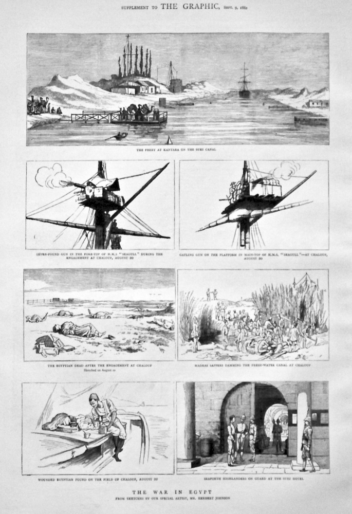 The War in Egypt. (From Sketches by Mr. Herbert Johnson). 1882