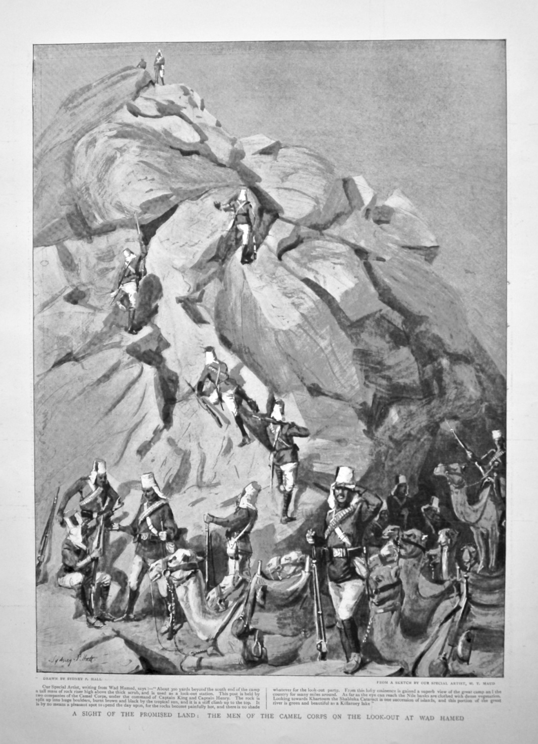 A Sight of the Promised Land : The Men of the Camel Corps on the Look-out a