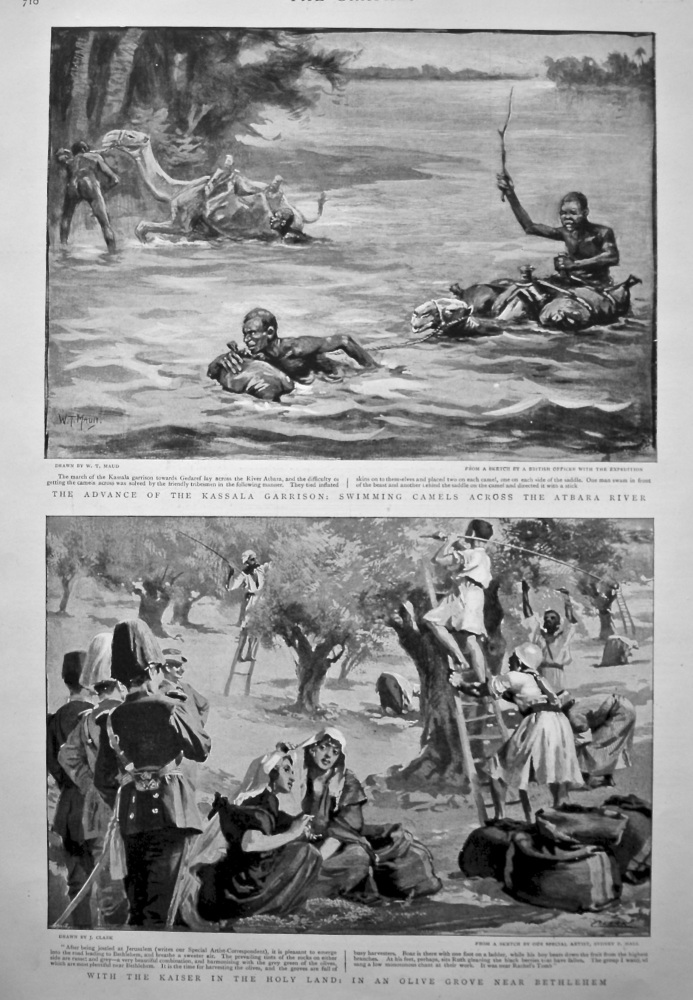 The Advance of the Kassala Garrison : Swimming Camels across the Atbara River. 1898.