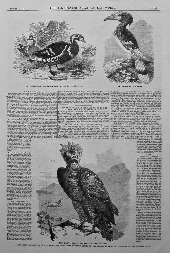 Specimen's of the Recent Additions to the Zoological Society, Regent's Park. 1858.