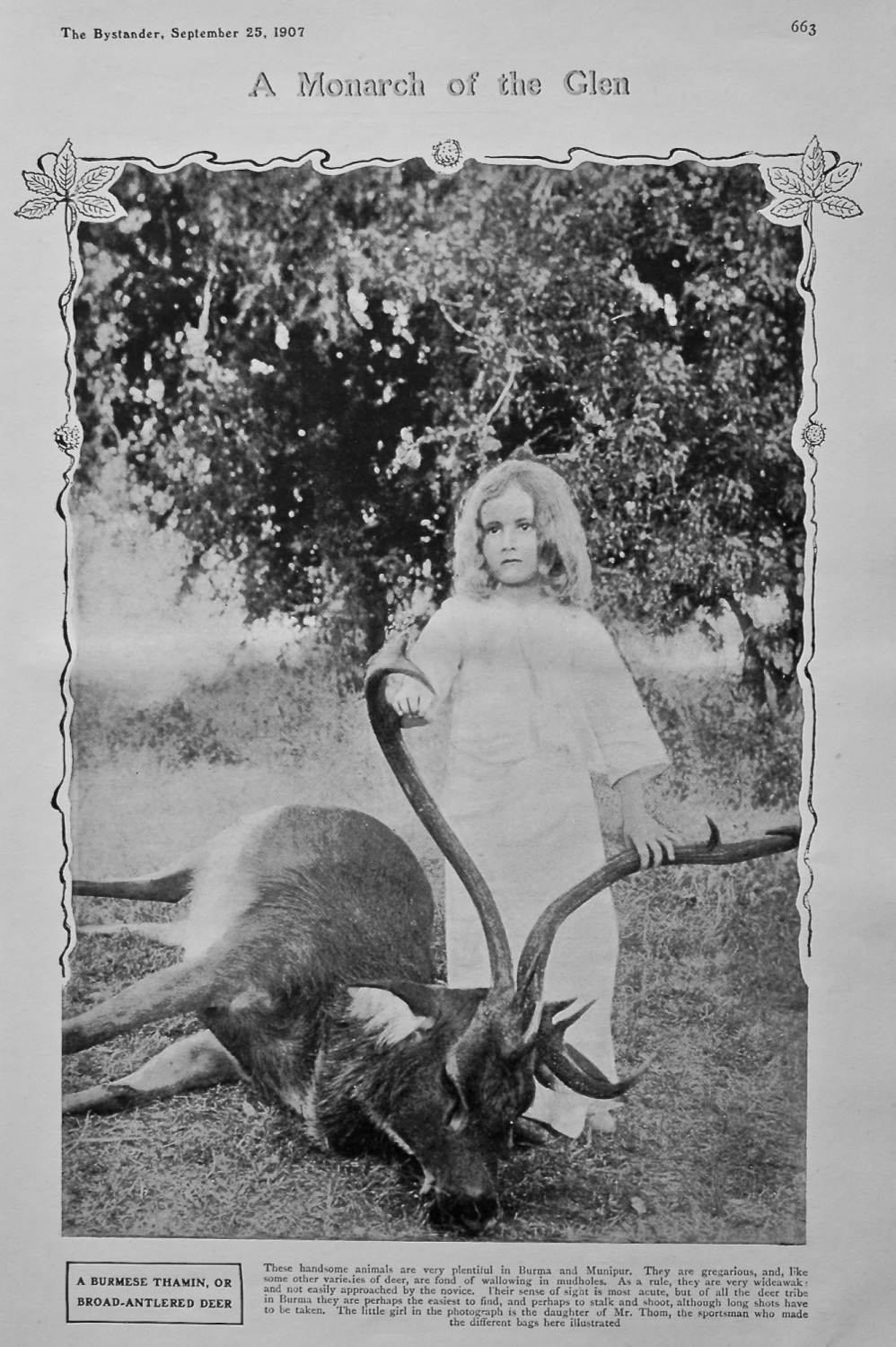 A Monarch of the glen : A Burmese Thamin, or Broad-Antlered Deer. 1907.