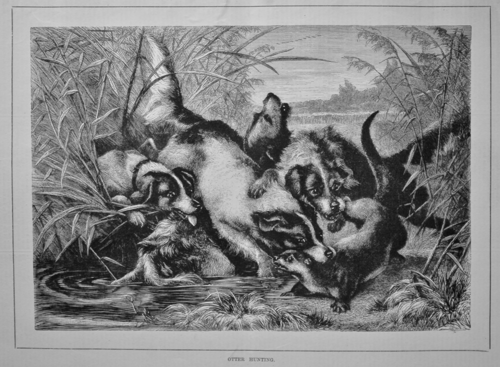 Otter Hunting.  1879.