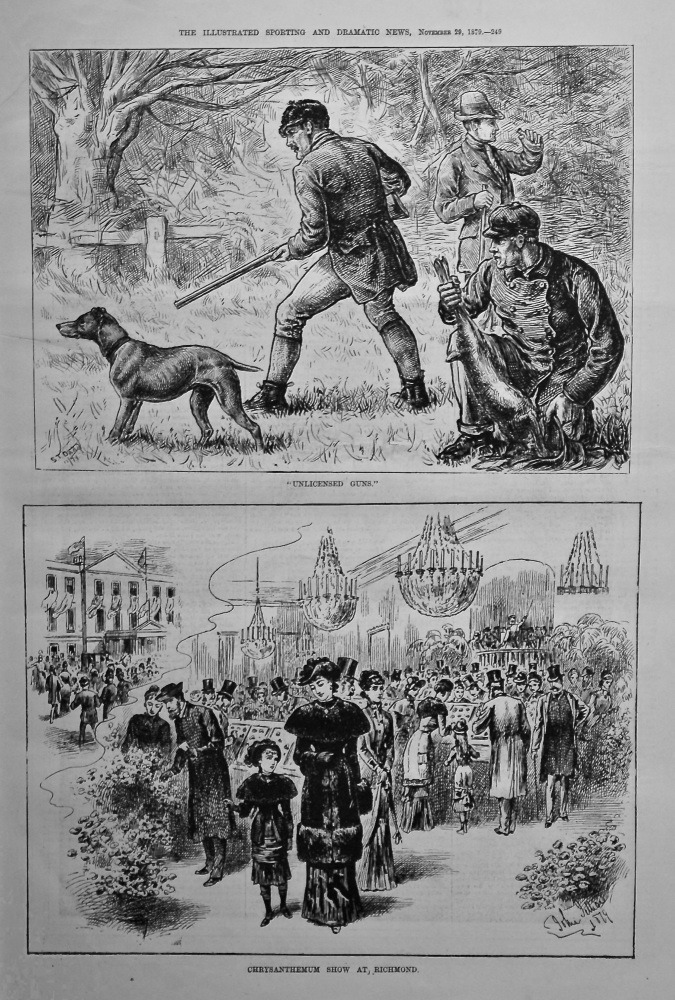 "Unlicensed Guns."  and Chrysanthemum Show at Richmond. 1879