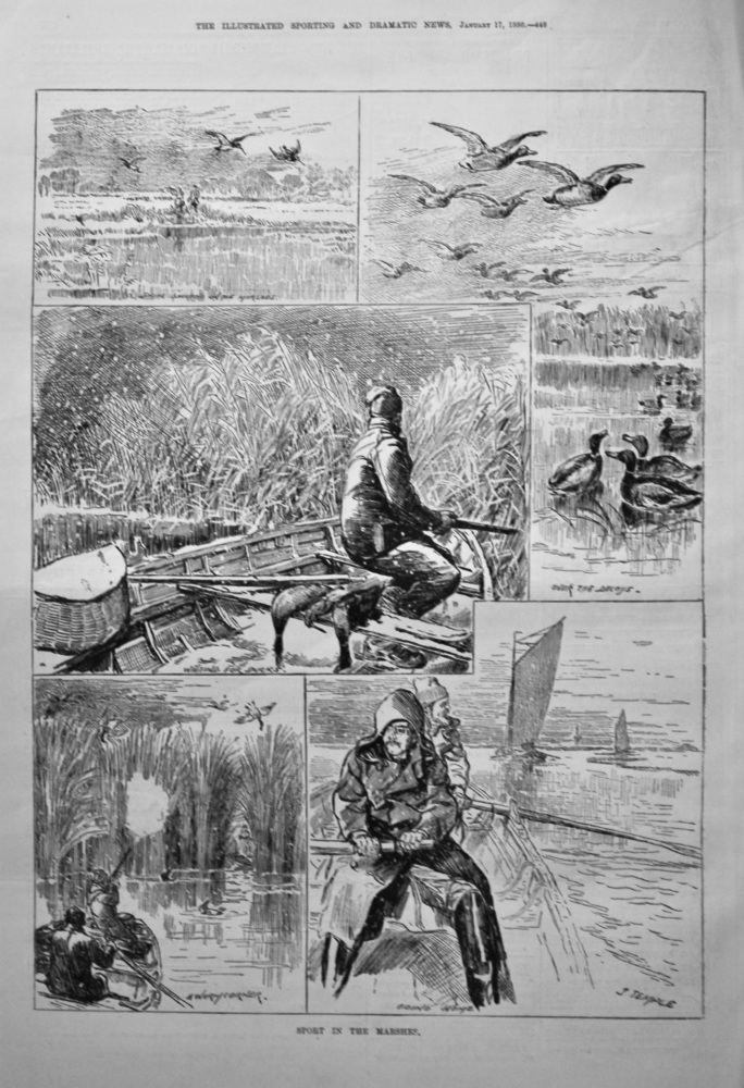 Sport in the Marshes.  1880.