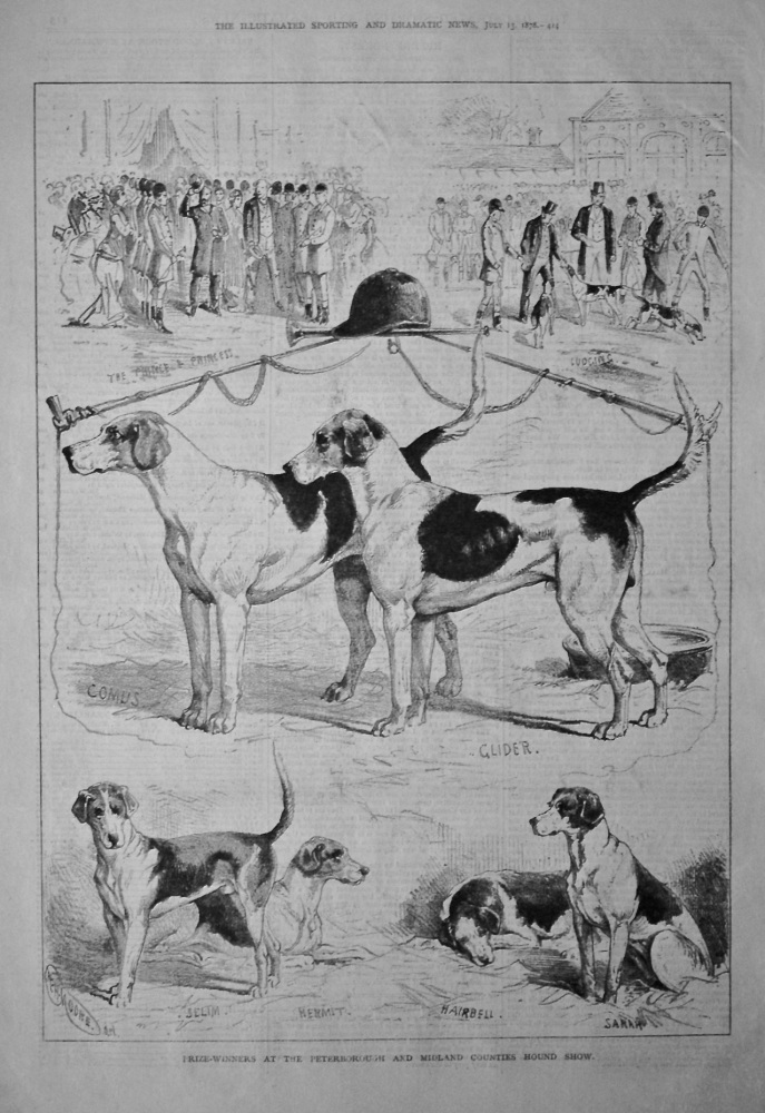 Prize-Winners at the Peterborough and Midland Counties Hound Show.  1878.