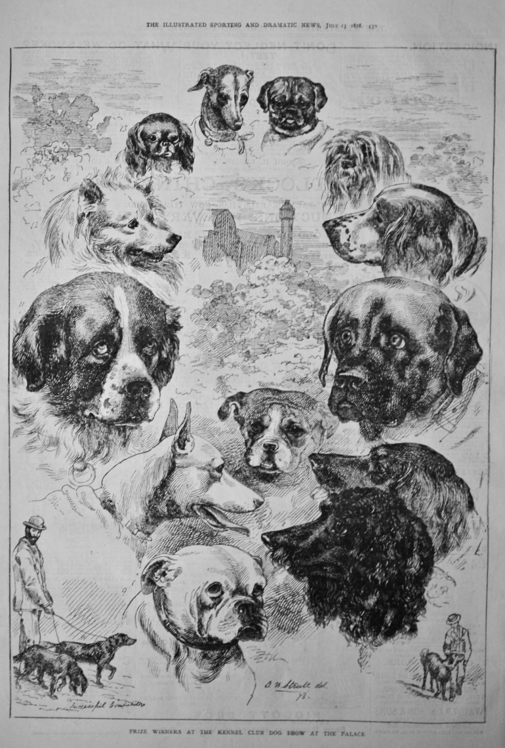 Prize Winners at the Kennel Club Dog Show at the Palace.  1878.