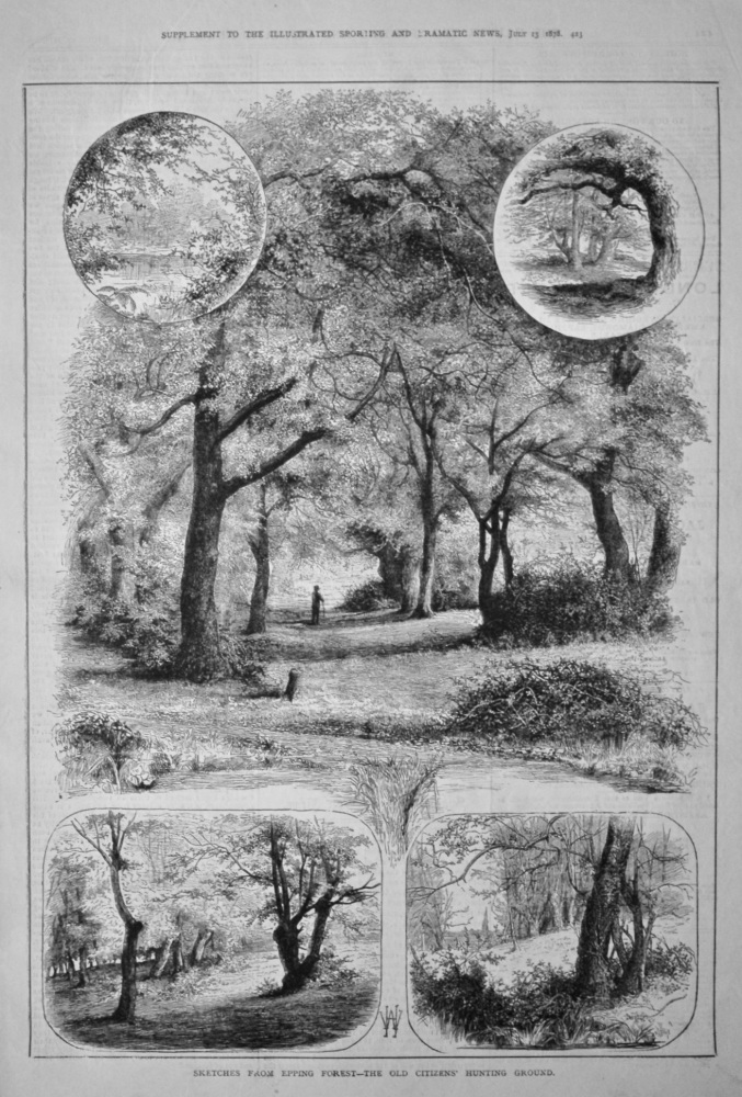 Sketches from Epping Forest - The Old Citizens' Hunting Ground.  1878.