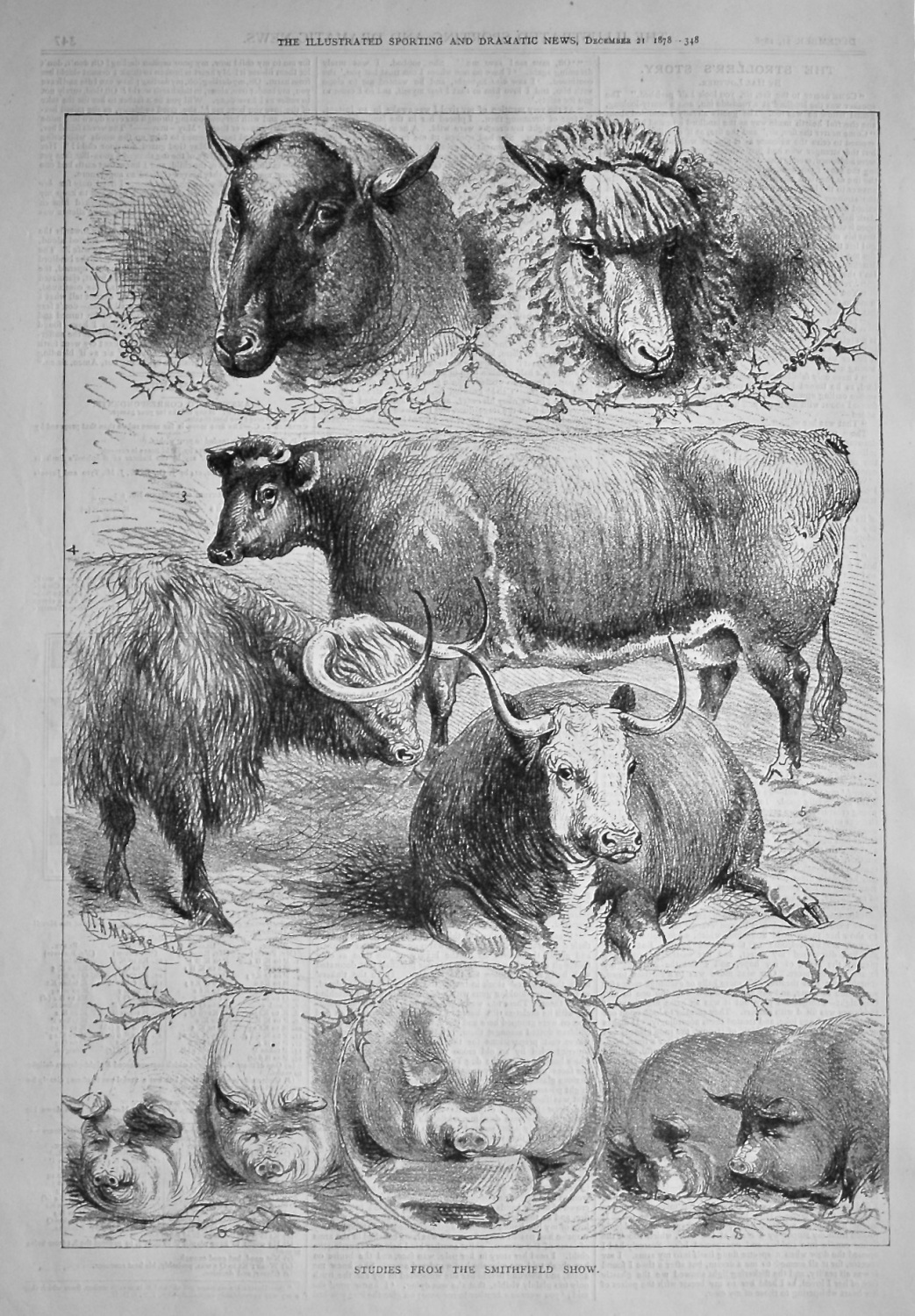 Studies from the Smithfield Show.  1878.