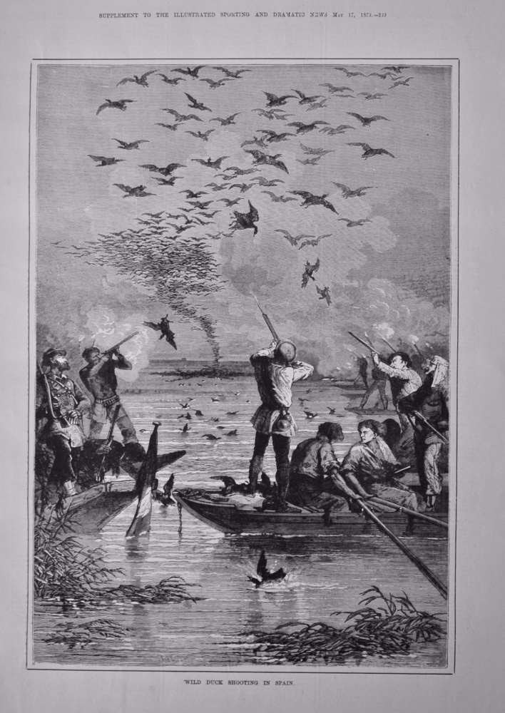 Wild Duck Shooting in Spain.  1879.