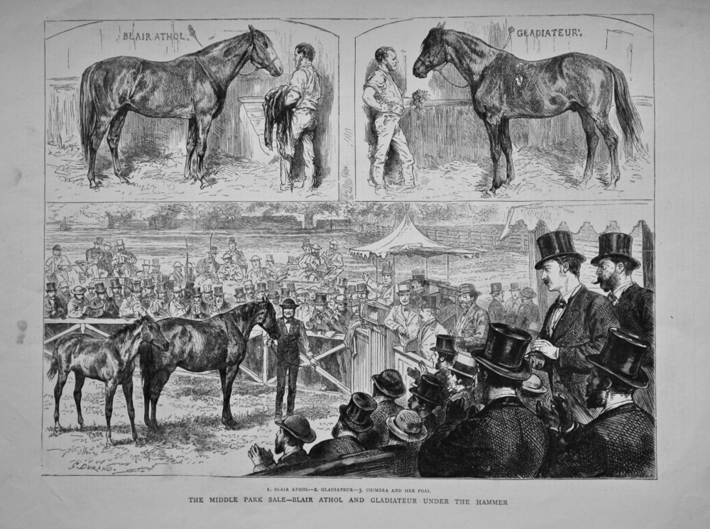 The Middle Park Sale - Blair Athol and Gladiateur under the Hammer.  1872