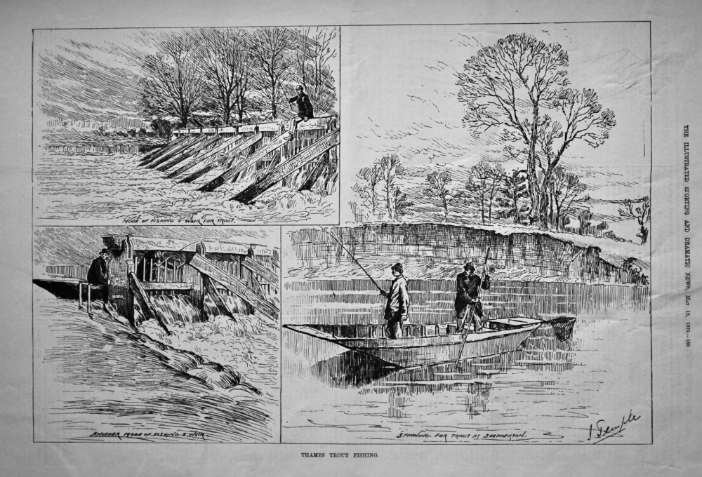 Thames Trout Fishing.  1879.