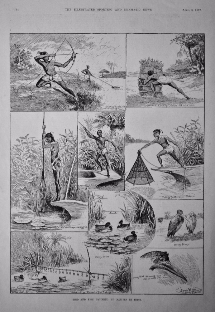 Bird and Fish Catching by Natives in India.  1897.