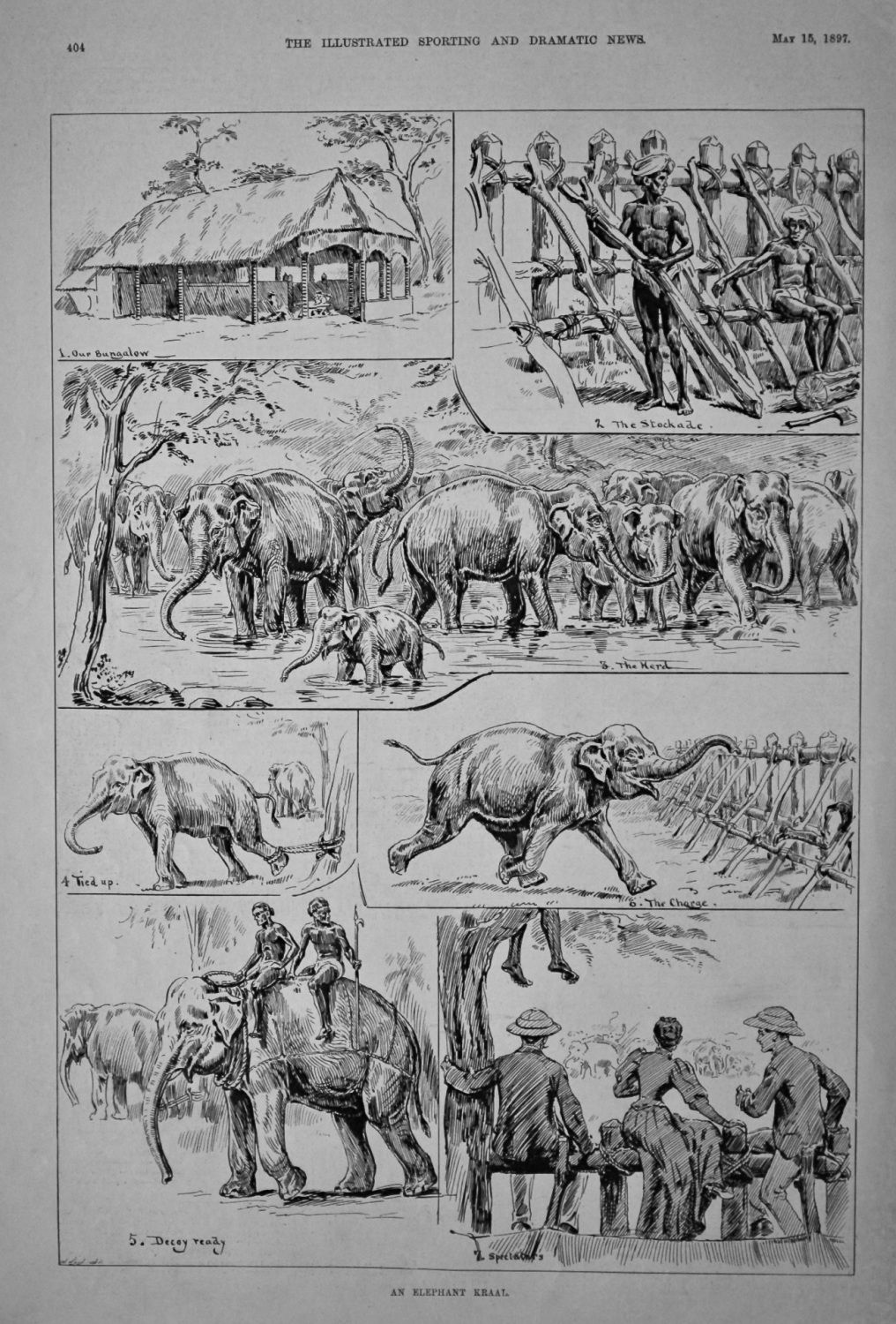 An Elephant Kraal.  1897.