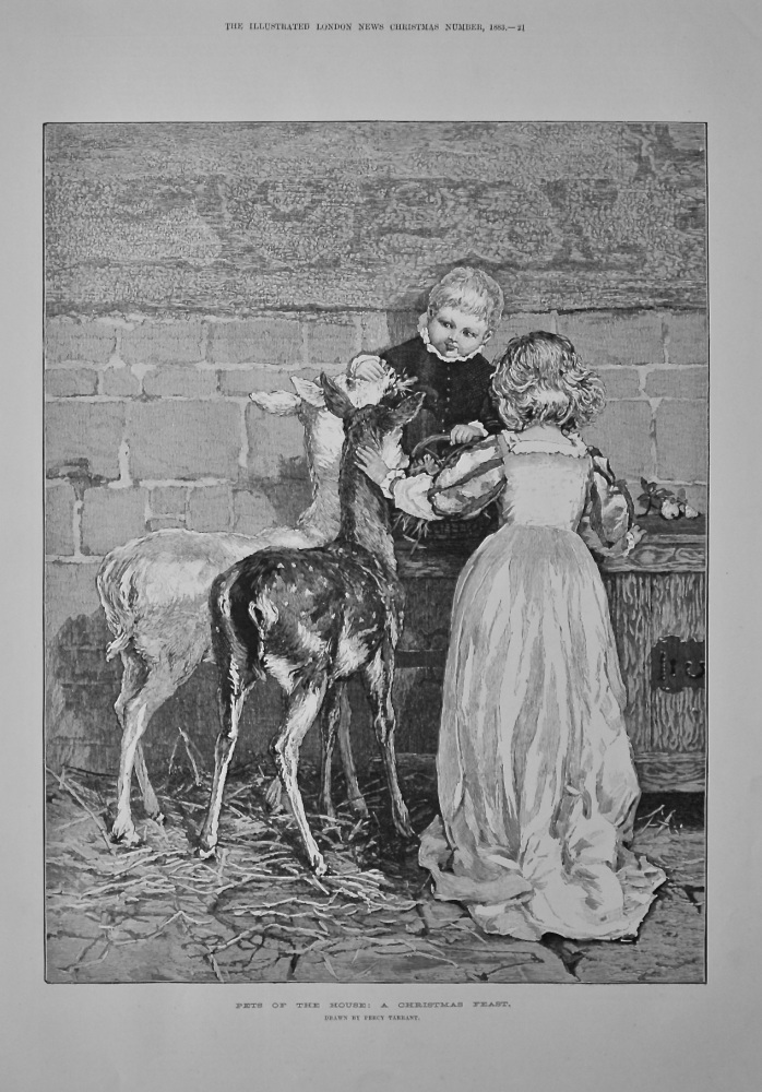 Pets Of The House : A Christmas Feast.  1883.