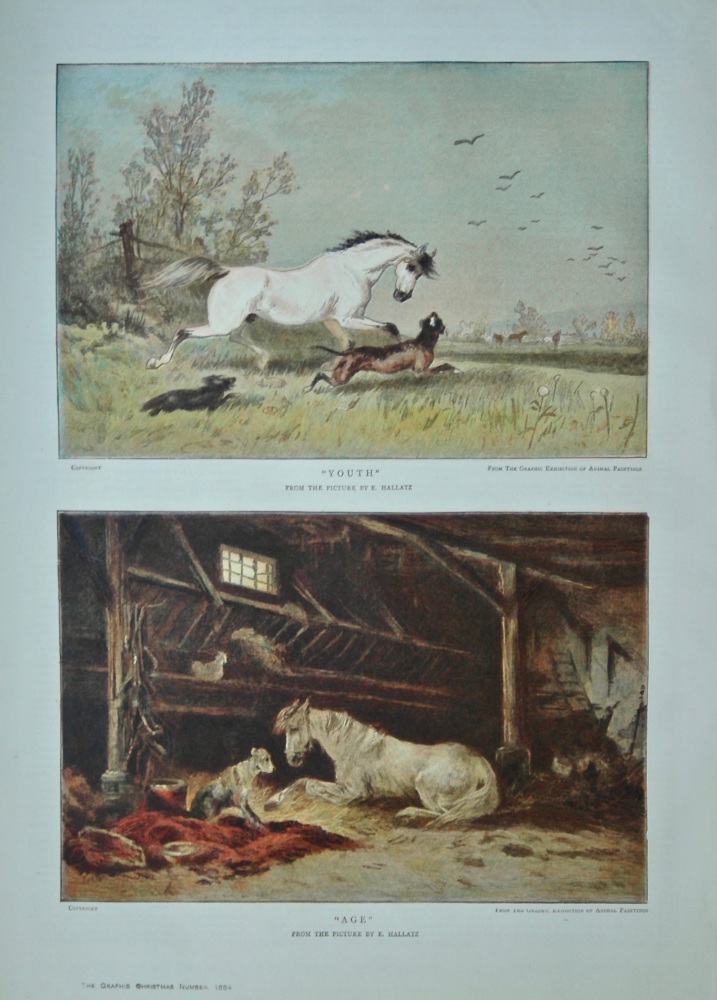 "Youth".  and  "Age".  (Half Page Colour Pictures).  1884.