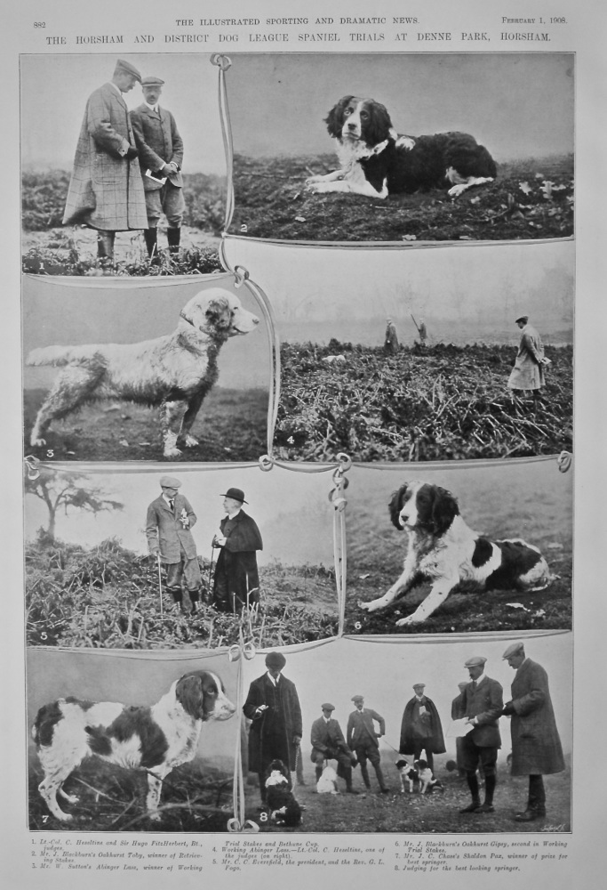 The Horsham and District Dog League Spaniel Trials at Denne Park, Horsham.  1908.