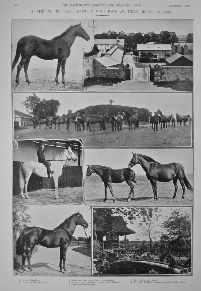 A Visit to Mr. Hall Walker's Stud Farm at Tully House, Kildare.  1908.