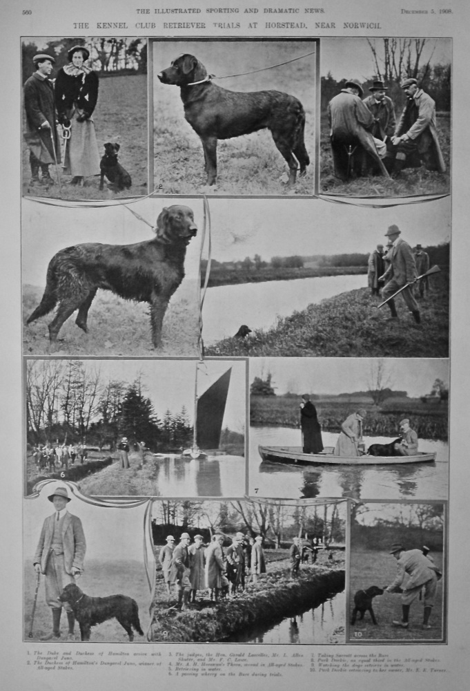 The Kennel Club Retriever Trials at Horstead, near Norwich.  1908.