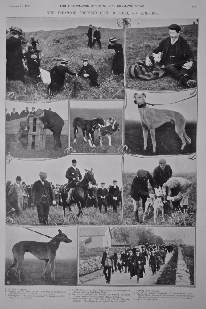 The Fedamore Coursing Club Meeting, Co. Limerick.  1908.