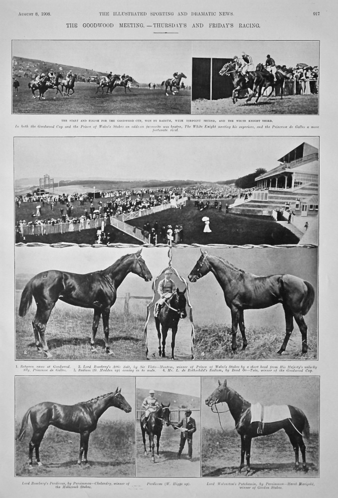 The Goodwood Meeting.- Thursday's and Friday's Racing. 1908.