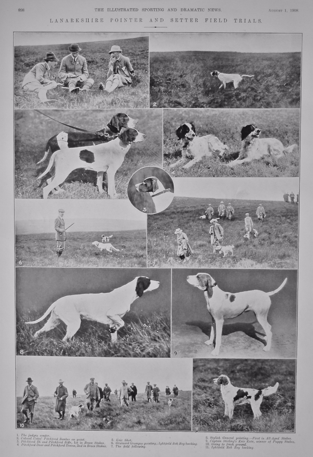 Lanarkshire Pointer and Setter Field Trials.  1908.