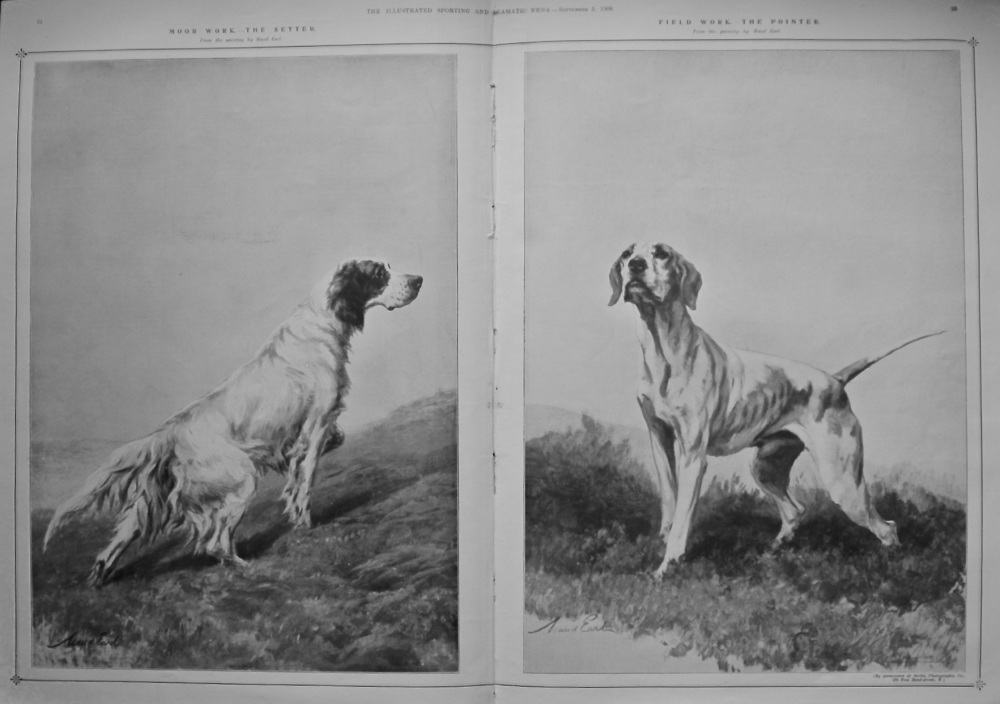 Moor Work.- The Setter.  &   Field Work.- The Pointer.  1908.
