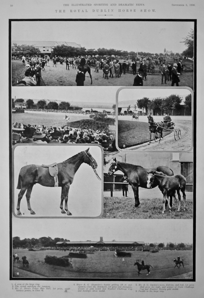 The Royal Dublin Horse Show.  1908.
