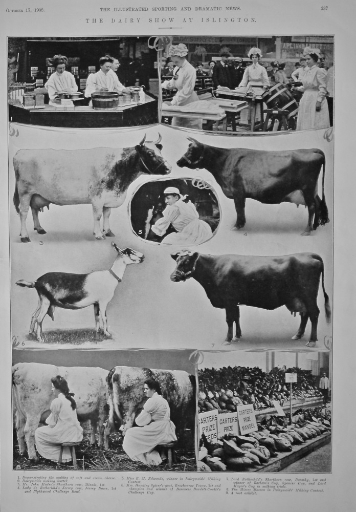 The Dairy Show at Islington.  1908.