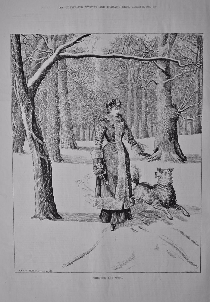 Through the Wood.  1883.