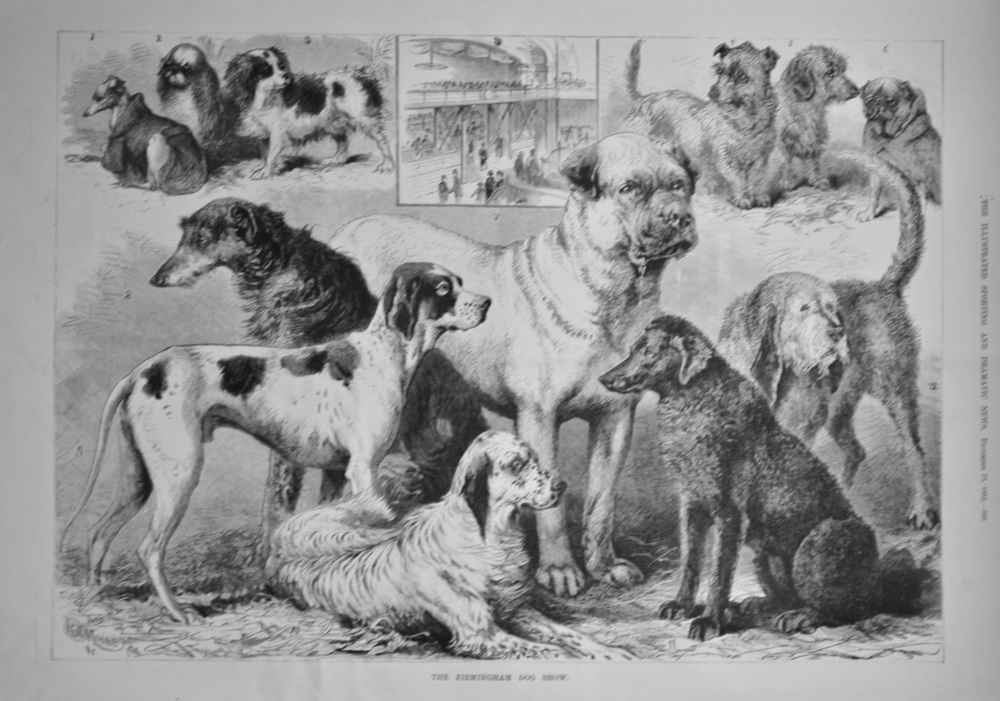The Birmingham Dog Show.  1882.