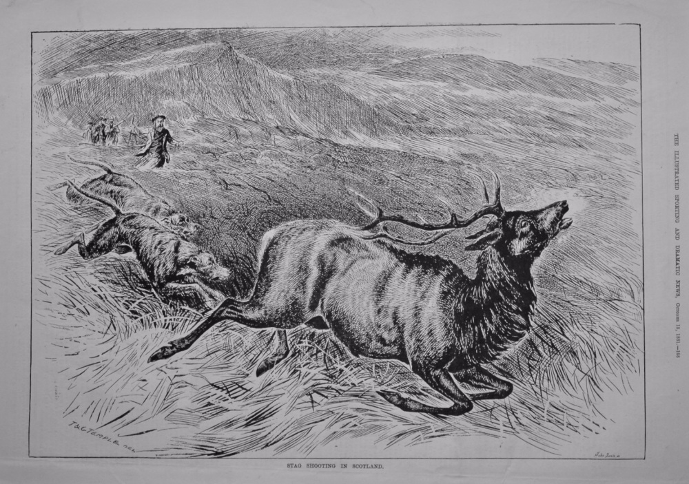 Stag Shooting in Scotland.  1881.