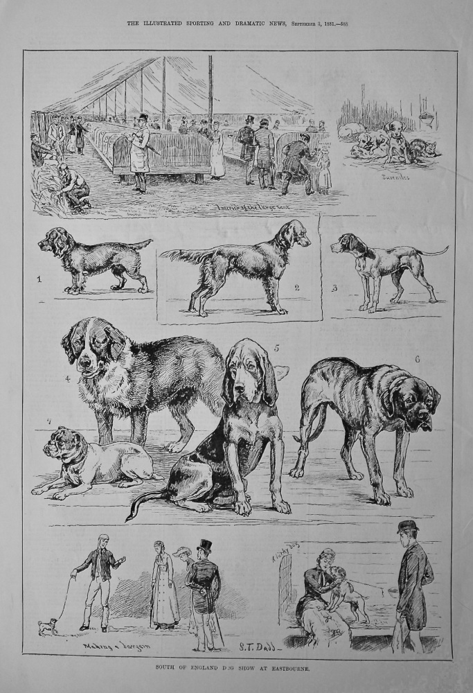 South of England Dog Show at Eastbourne.  1881.
