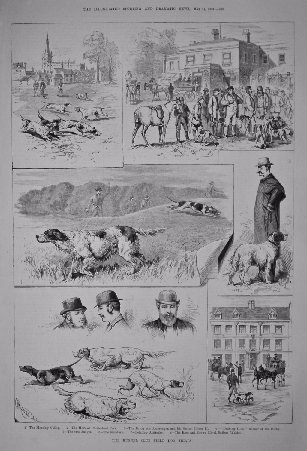 The Kennel Club Field Dog Trials.  1881.