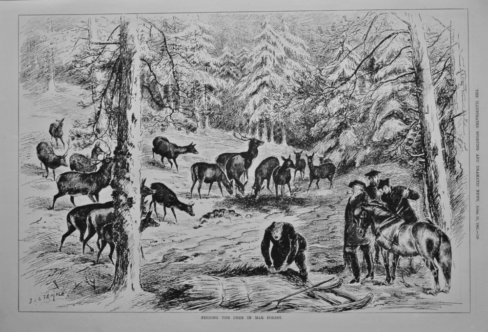 Feeding the Deer in Mar Forest.  1881.