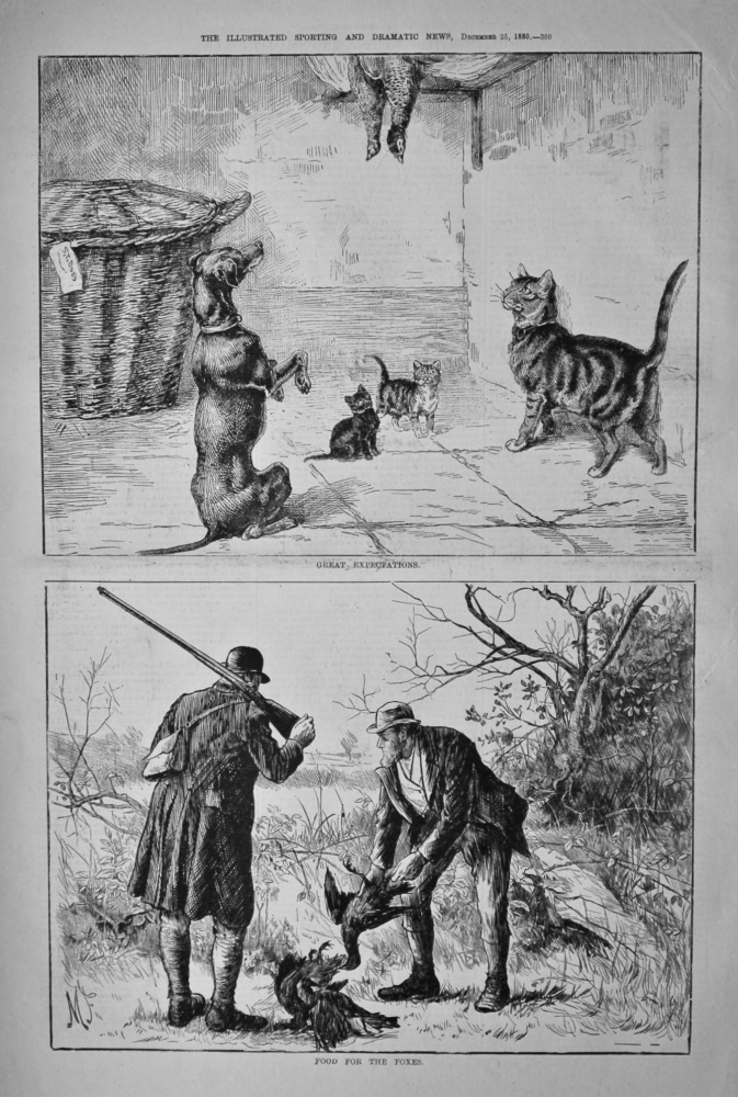 Food for the Foxes.  &  Great Expectations.  1880.