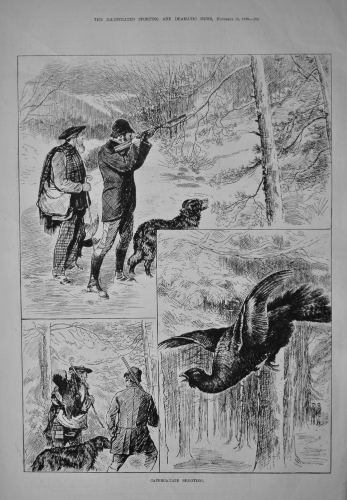 Capercailzie Shooting.  1880.