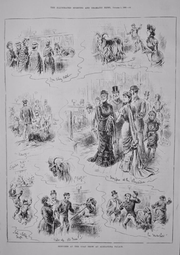 Sketches at the Goat Show at Alexandra Palace.  1880.