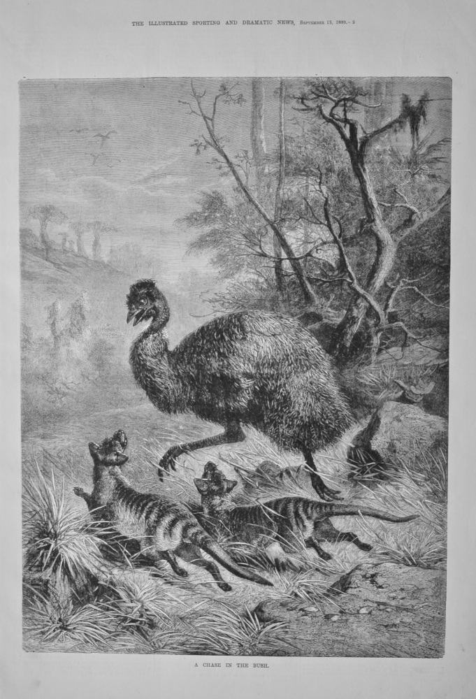 A Chase in the Bush.  1880.