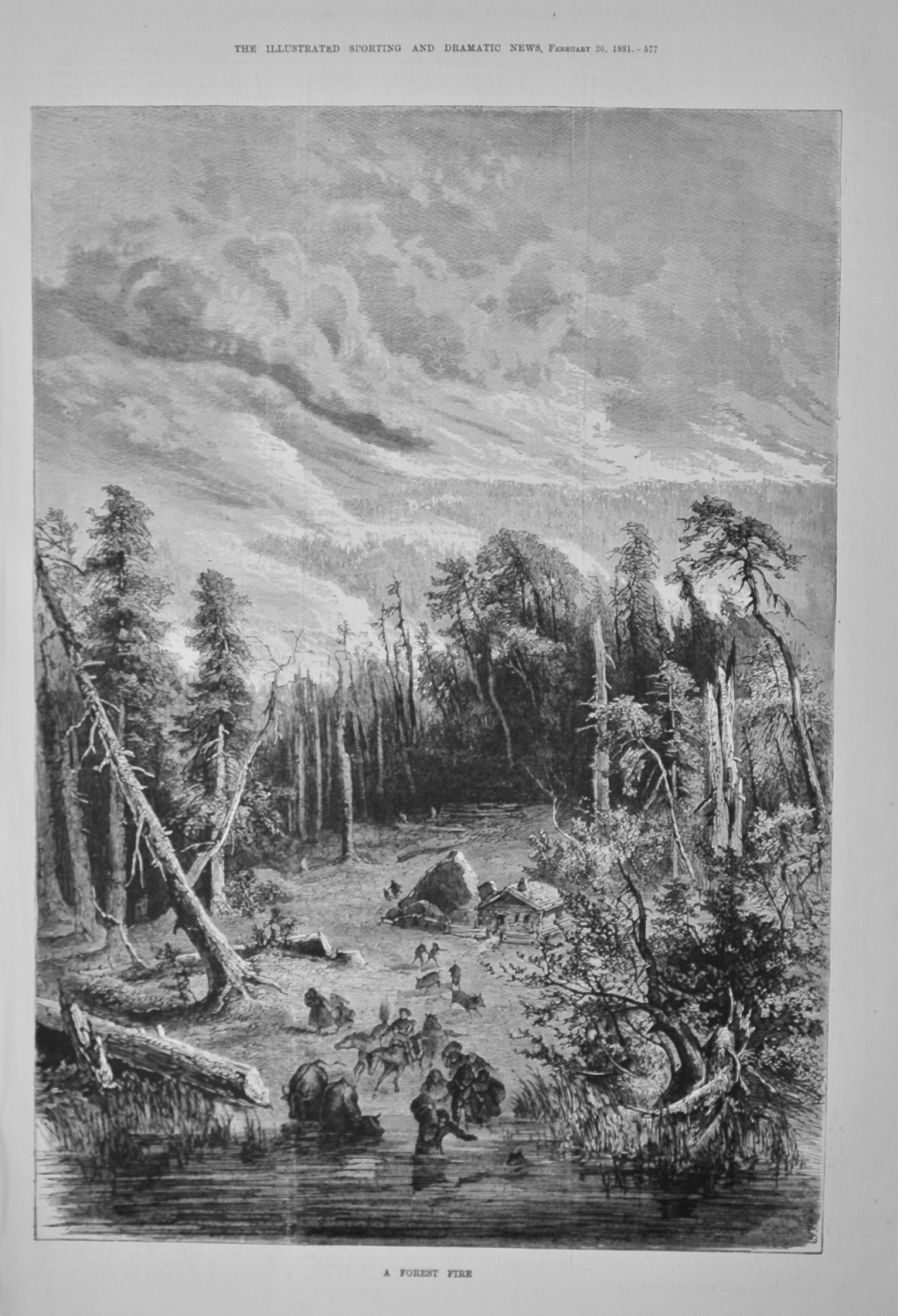 A Forest Fire.  1881.