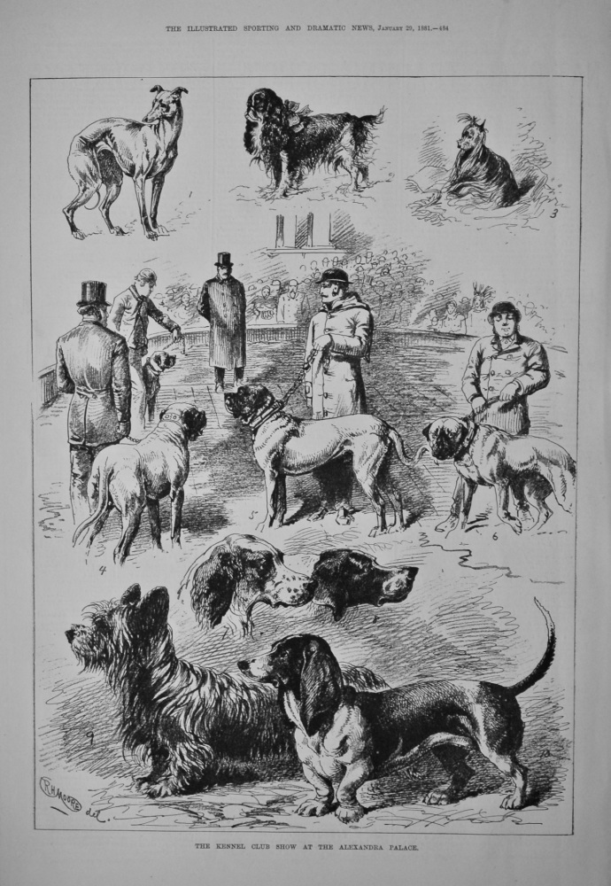 The Kennel Club Show at the Alexandra Palace. 1881