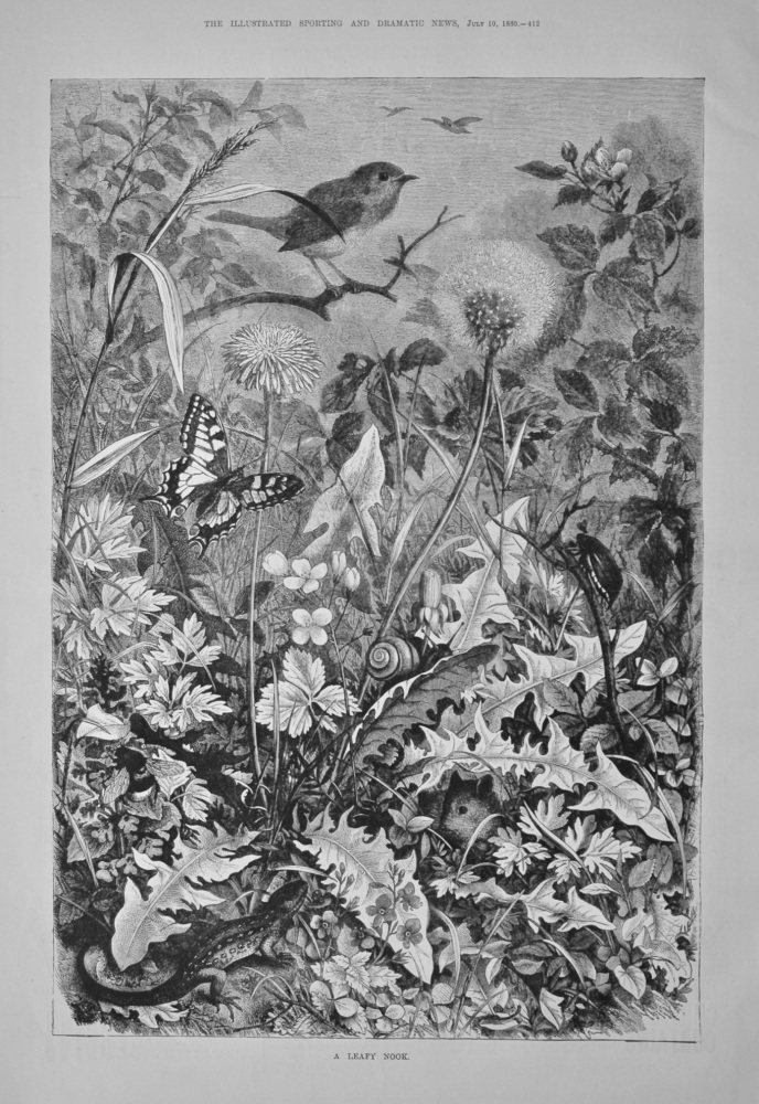 A Leafy Nook.  1880.