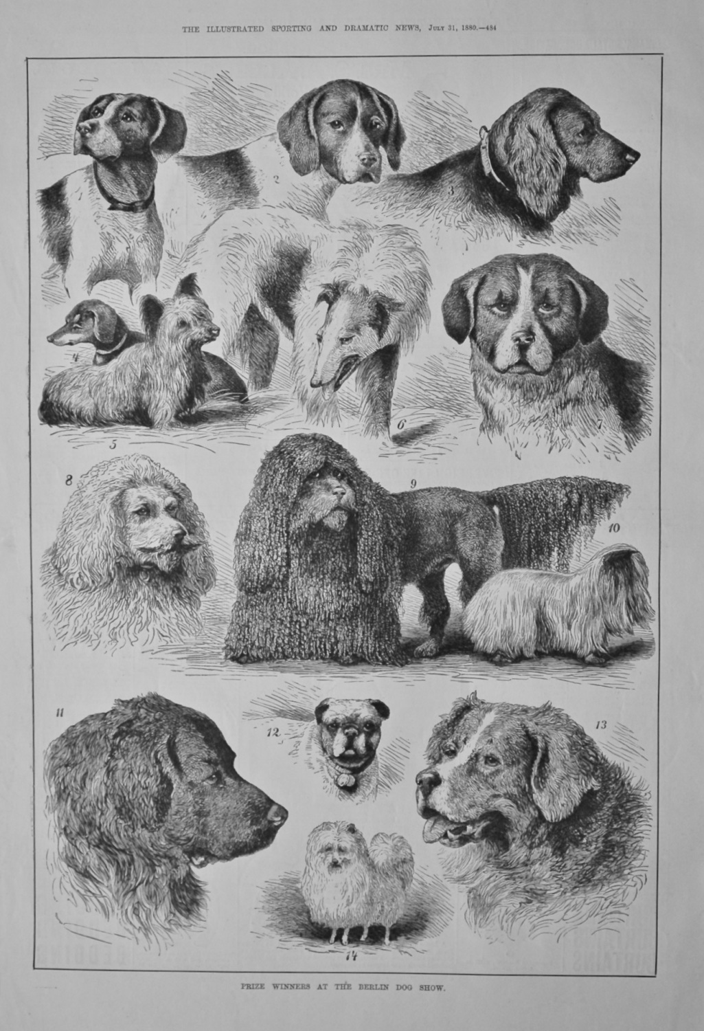 Prize Winners at the Berlin Dog Show.  1880.