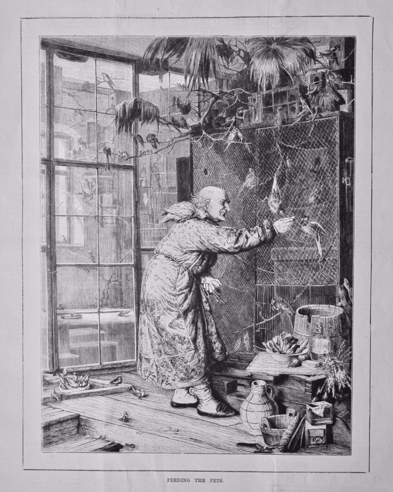 Feeding the Pets.  1880.