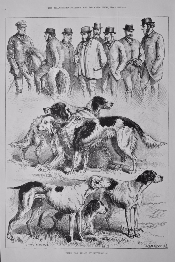 Field Dog Trials at Nottingham.  1880.