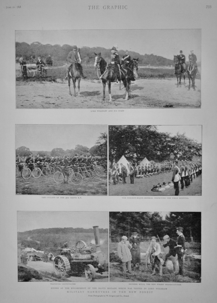 Military Manoeuvres in the New Forest.  1898.