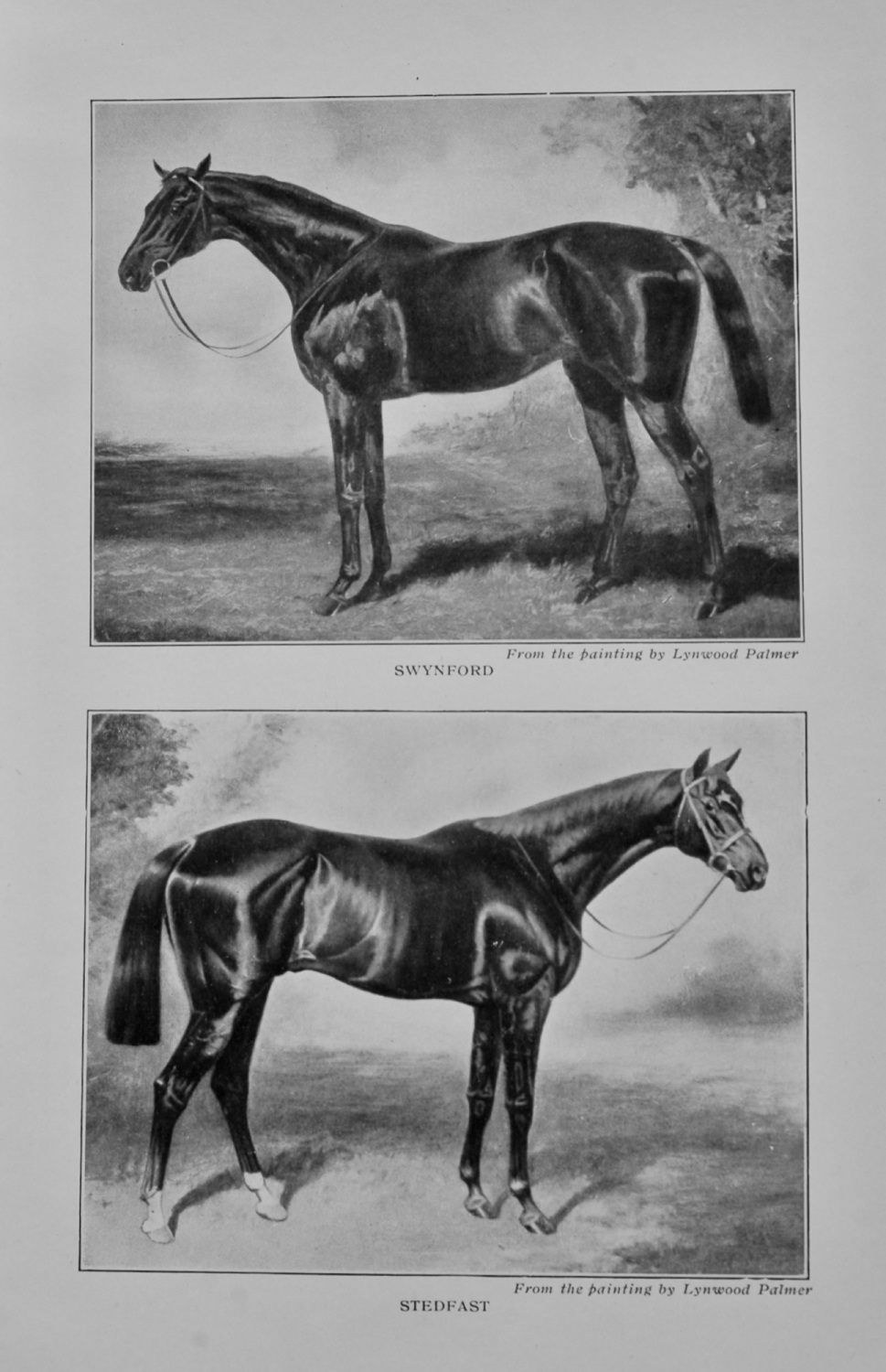 Swynford, and Stedfast. (From the painting by Lynwood Palmer)  (Racehorses)