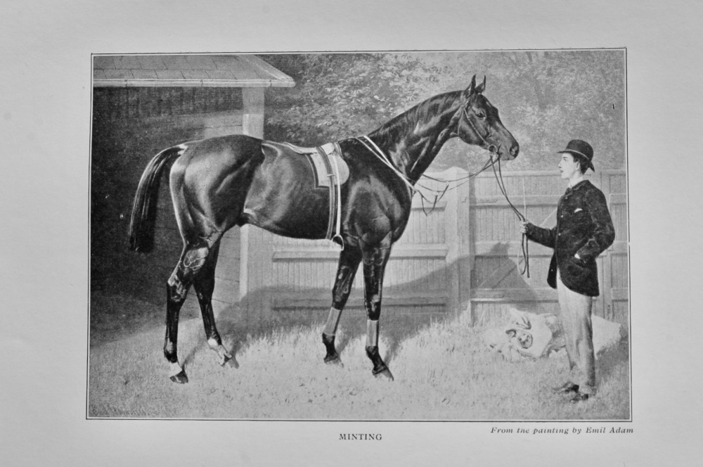 Minting.  (Racehorse) 