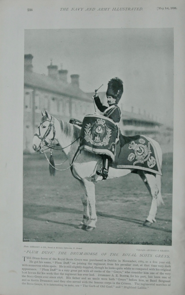 "Plum Duff," The Drum-Horse of the Royal Scot Guards.