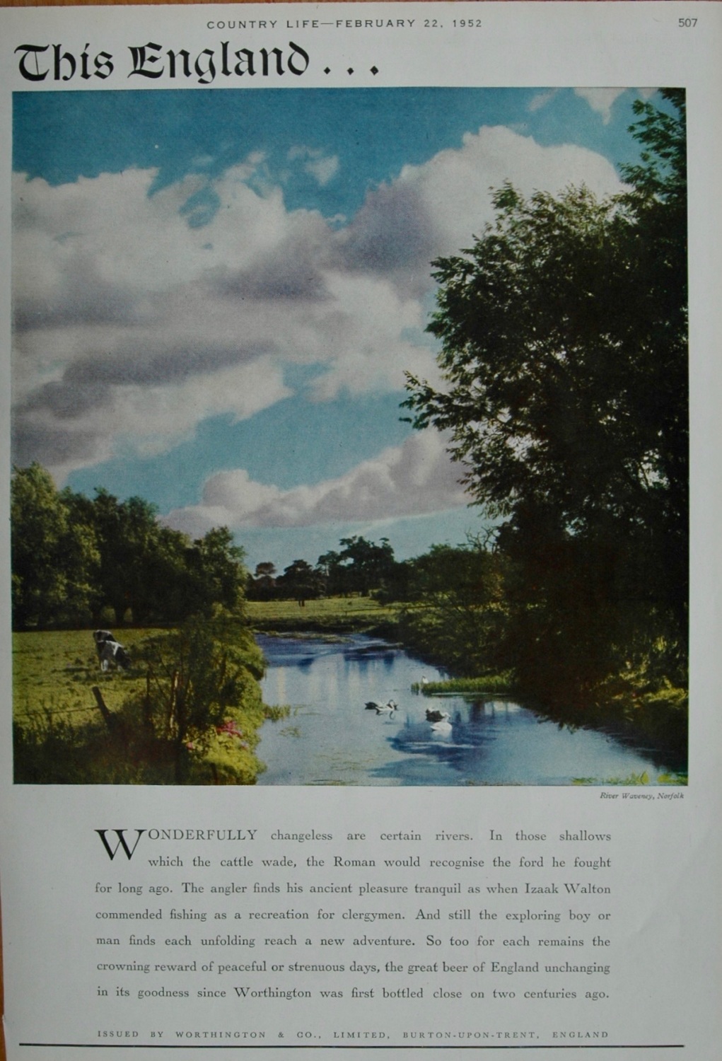 Advert for Worthington & Co